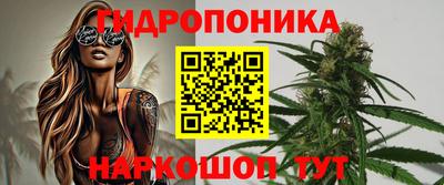 гидропоника Партизанск