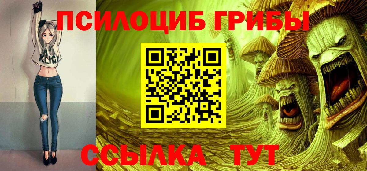 Псилоцибиновые грибы мицелий Серов