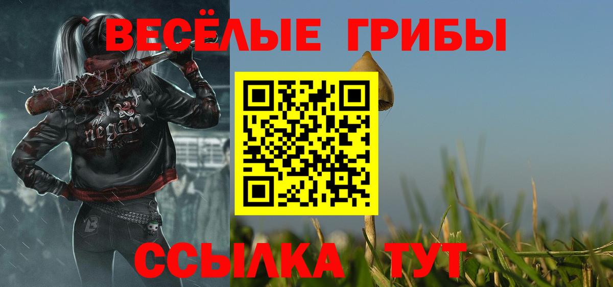 Серов  Галлюциногенные грибы прущие грибы  Вход с VPN 